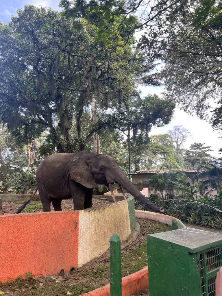 Zoo d'Abidjan