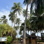 Les jardins d'Eden, Grand Bassam, Côte d'Ivoire