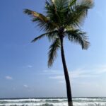 Les Marines de Babihana, Assinie, Côte d'Ivoire