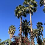 Jardin Majorelle, Marrakech