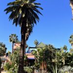 Jardin Majorelle, Marrakech