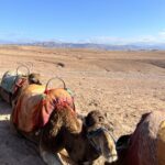 Désert d'Agafay, Maroc