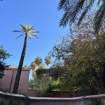 Jardin Majorelle, Marrakech